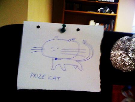 Prize Cat – Rewarding The Worthy…