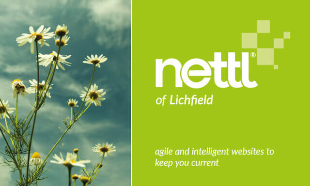 The Nettl Website Studio has arrived at Raphael Design!