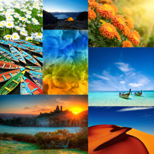 Colours of Summer Image 2